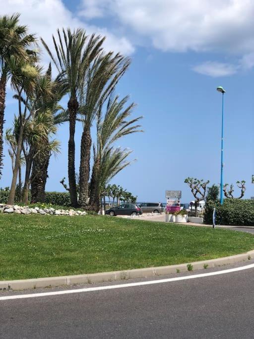Sur La Plage, Vue Sur Mer, Spacieux T3 Au Calme Saint-Cyprien  Esterno foto