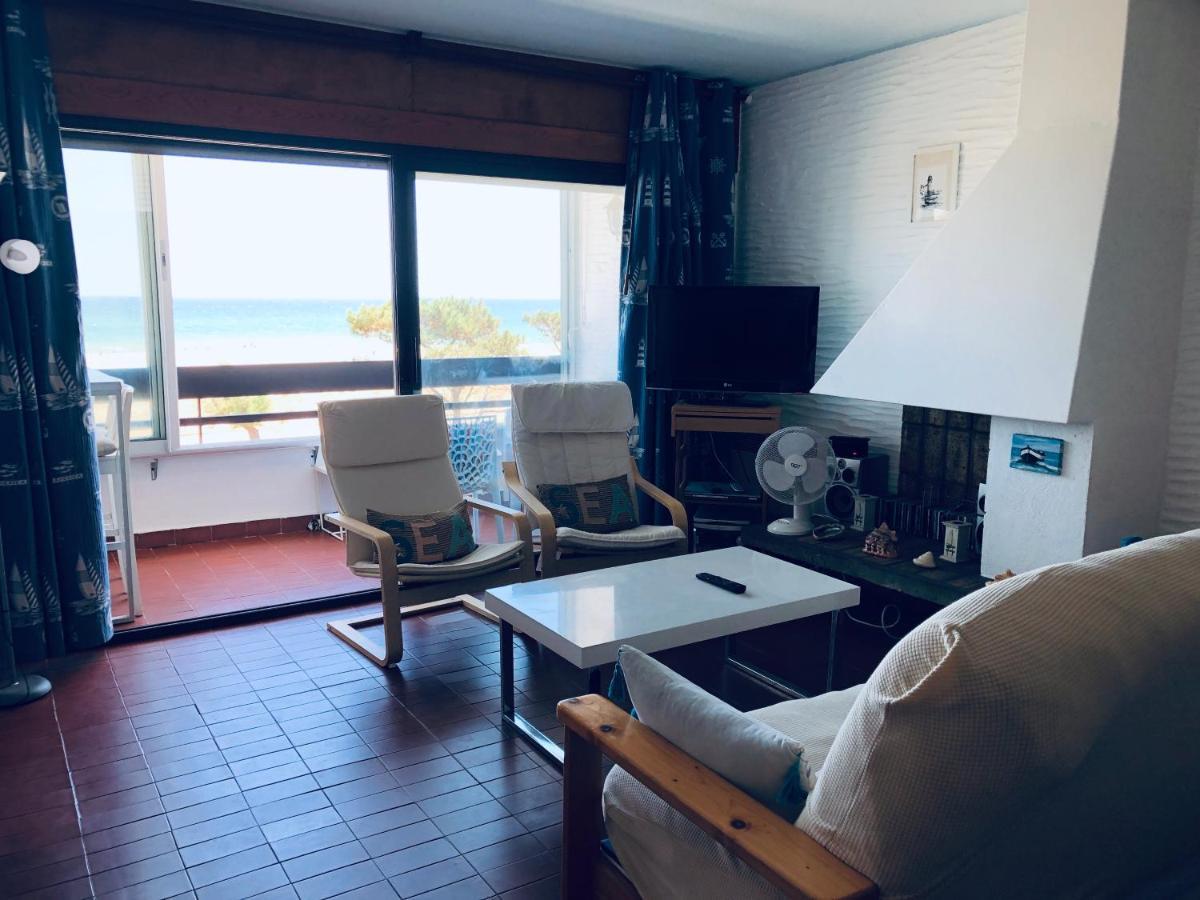 Sur La Plage, Vue Sur Mer, Spacieux T3 Au Calme Saint-Cyprien  Esterno foto